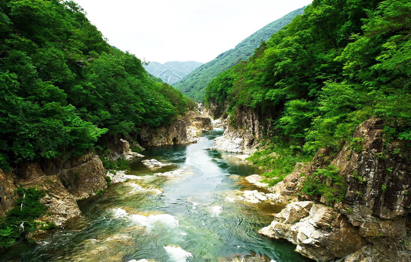 Фото обои деревья, пейзаж, горы, река, скалы, Япония, Japan, Rivers