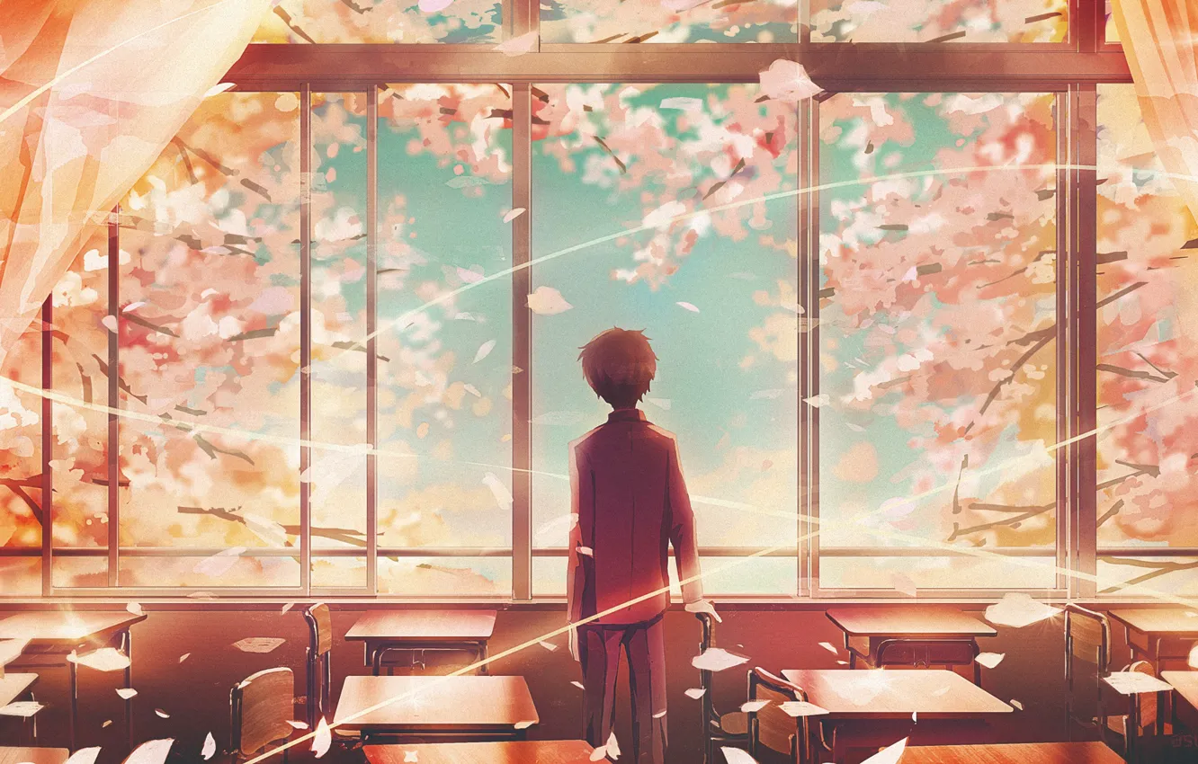 Фото обои весна, мальчик, окно, класс, вишни, школьник