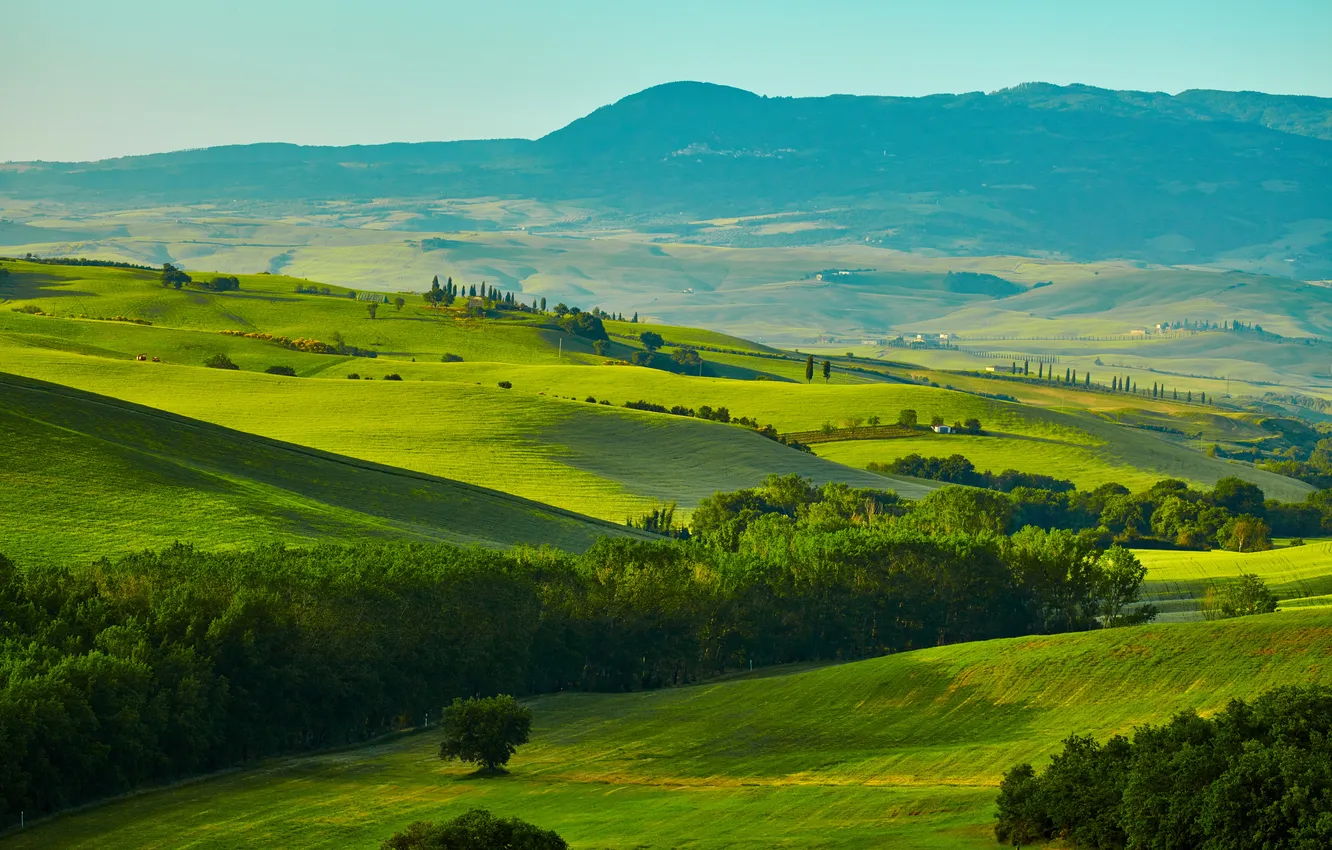 Фото обои зелень, трава, деревья, горы, поля, Италия, панорама, луга