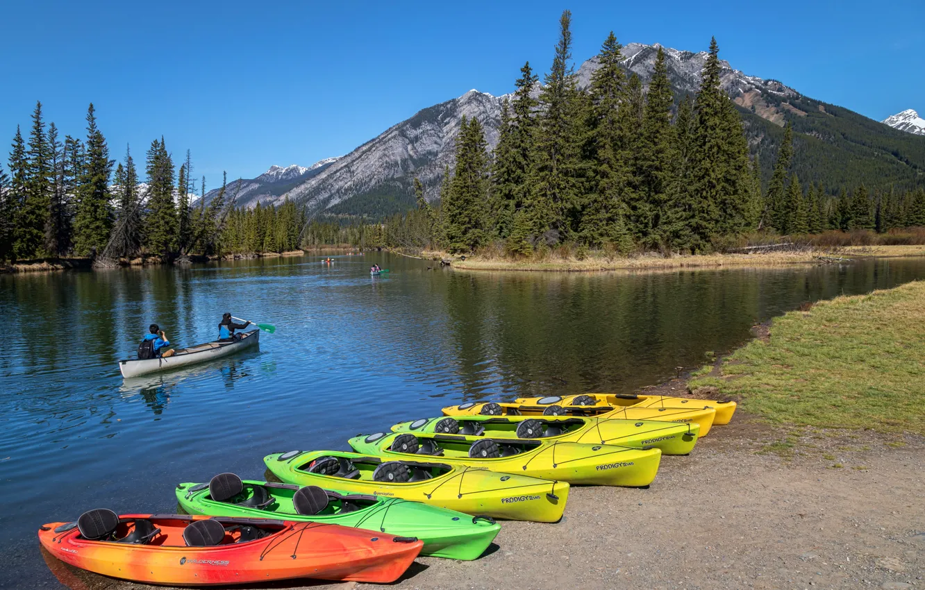 Фото обои лес, деревья, горы, река, лодки, Канада, Альберта, Banff National Park