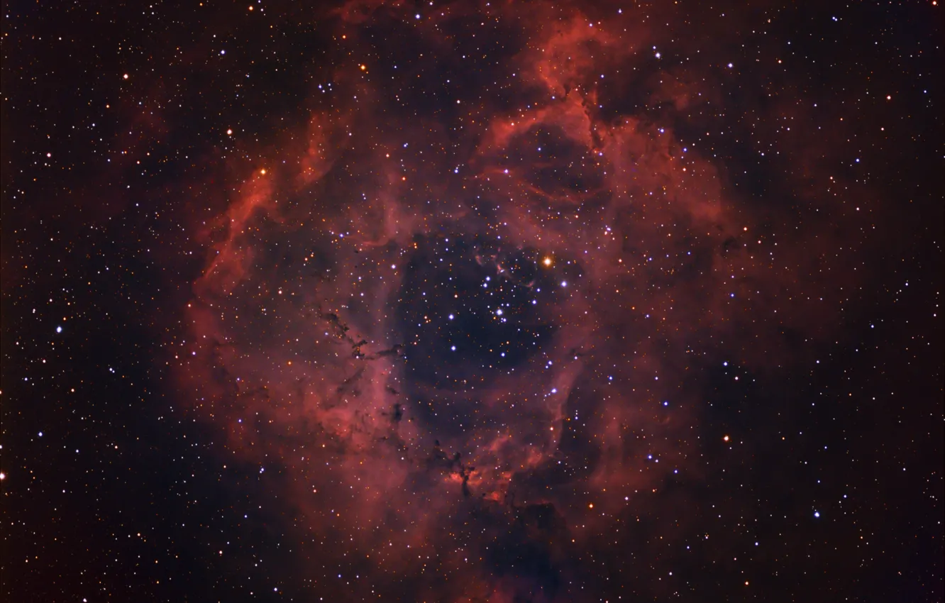 Фото обои космос, звезды, Rosette Nebula