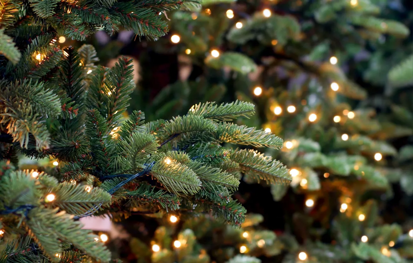 Фото обои Новый Год, Рождество, merry christmas, decoration, xmas, fir tree