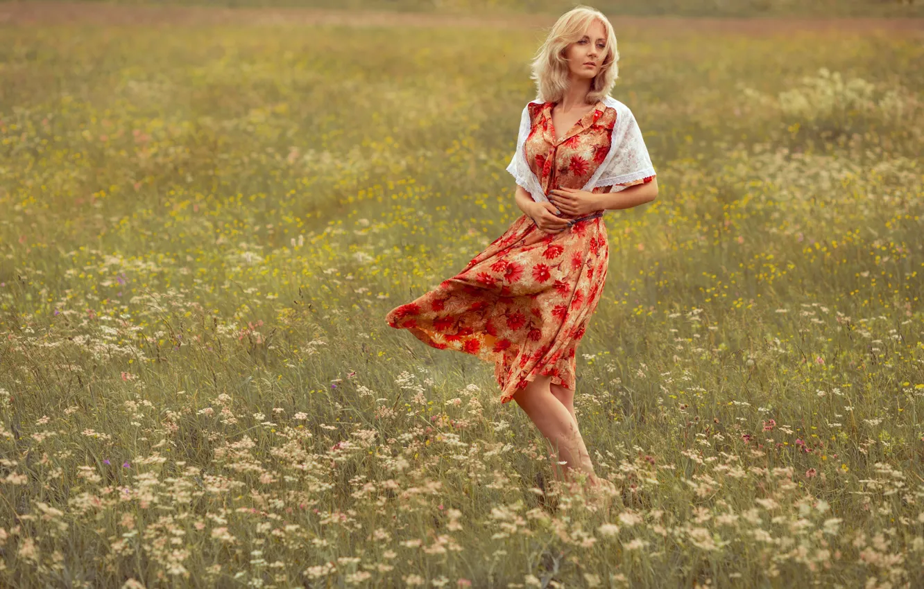 Фото обои поле, девушка, природа, платье, блондинка, травы, косынка, Шаклеин Алексей