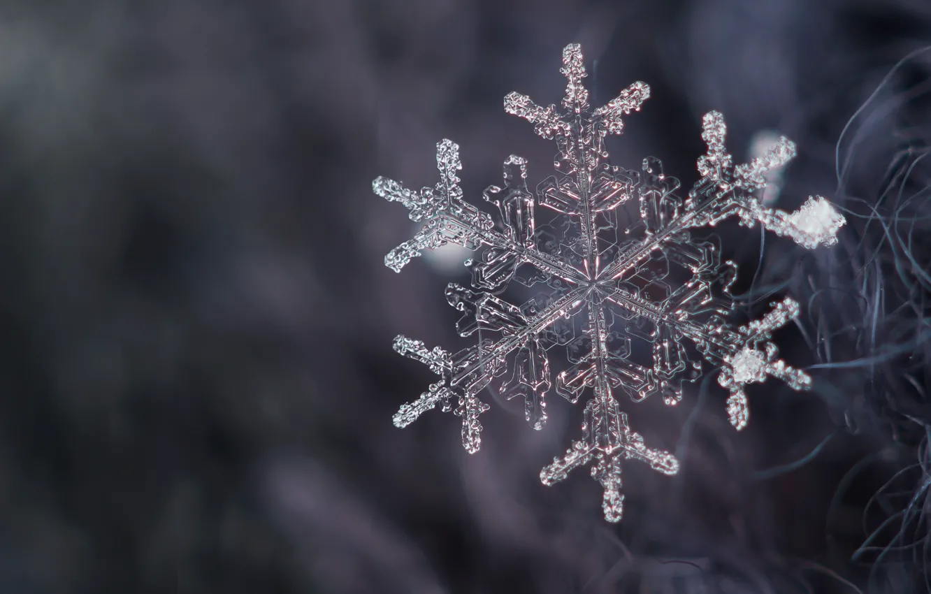 Фото обои кристалл, снег, снежинка