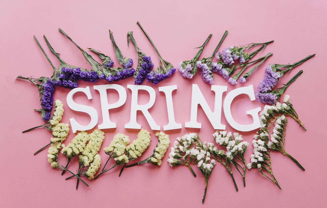 Фото обои цветы, фон, весна, pink, flowers, background, spring
