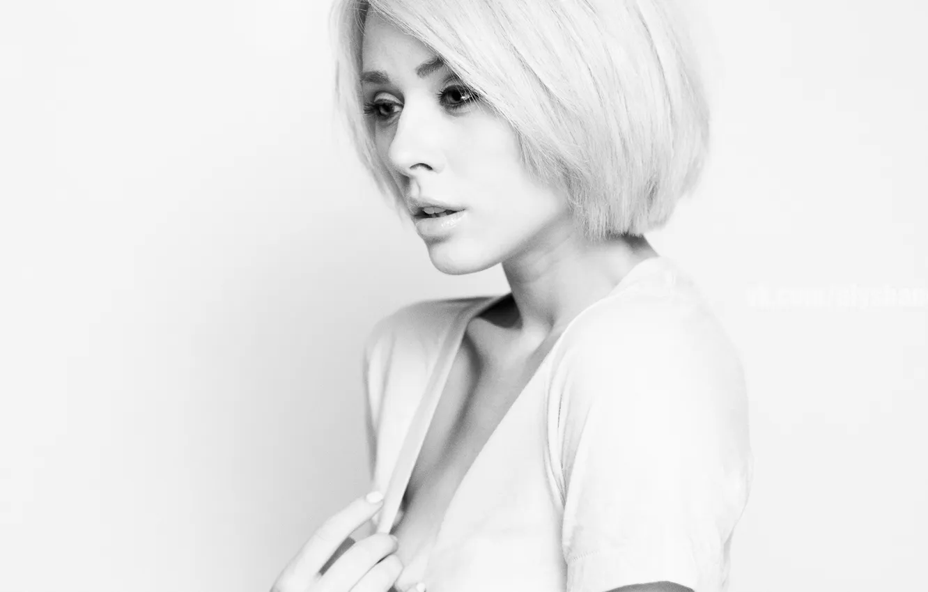 Фото обои белый, фон, блондинка, Alysha Nett