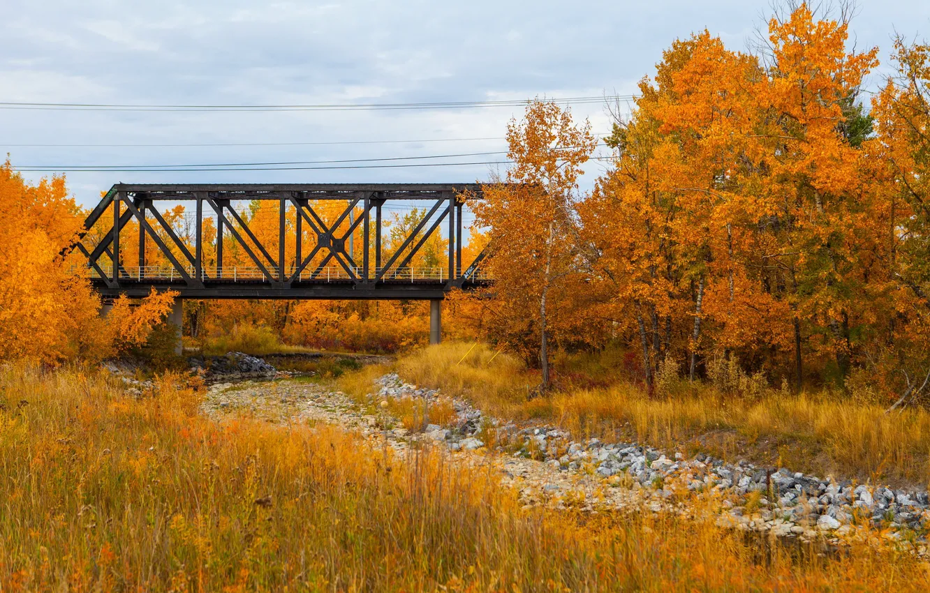 Фото обои осень, деревья, мост, Канада