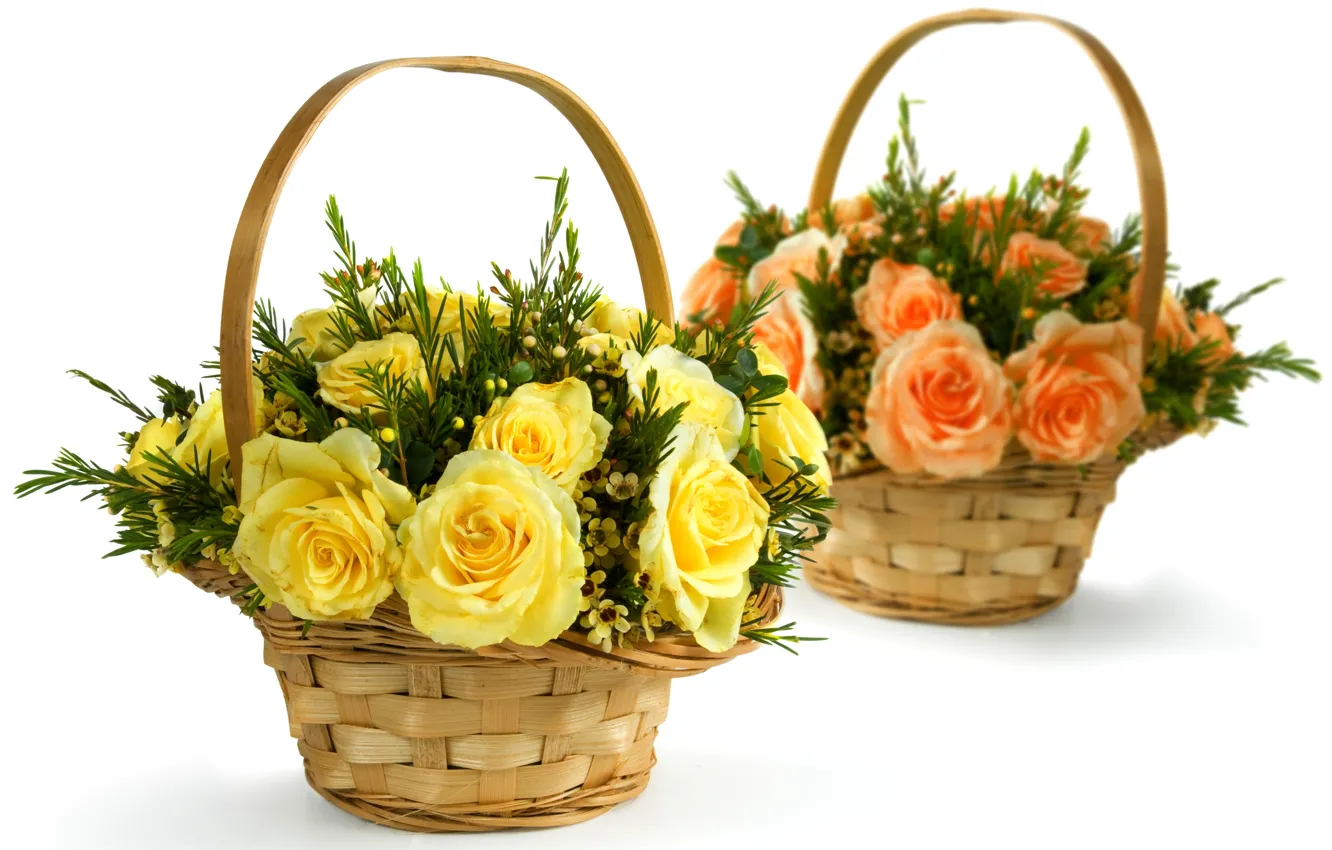 Фото обои цветы, розы, желтые, белый фон, розовые, корзинки, корзины, букеты