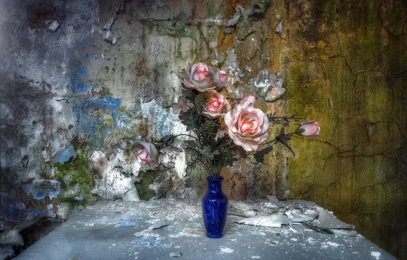 Фото обои цветы, стол, стена
