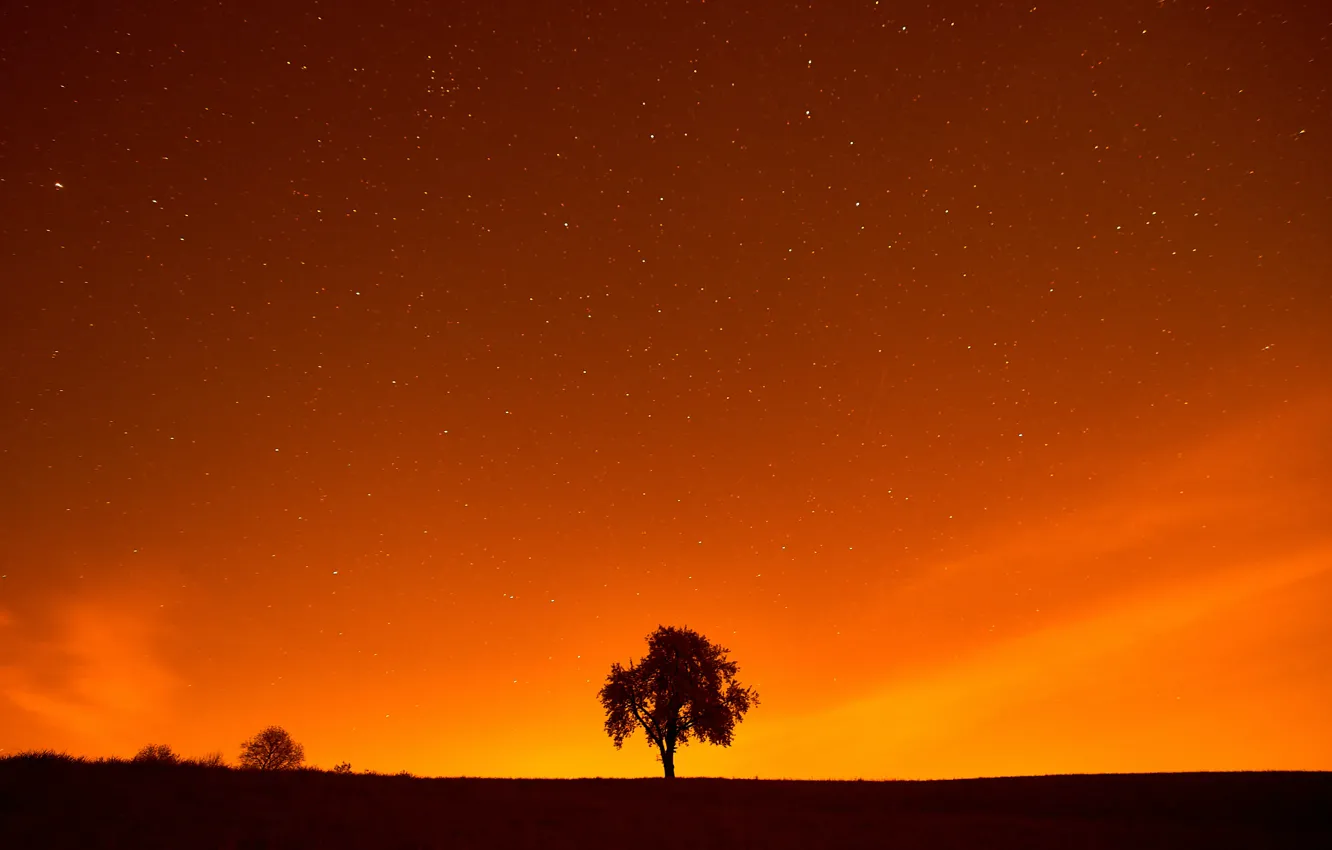 Фото обои Stars, Landscape, Tree, Night, Field, Sunlight, Sun Goes Down, Wolfgang Hasselmann