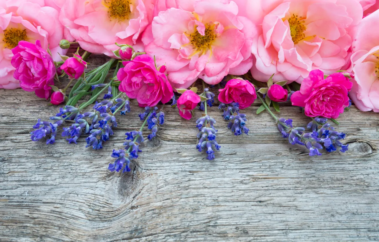 Фото обои цветы, розовые, бутоны, wood, pink, flowers, лаванда, bud
