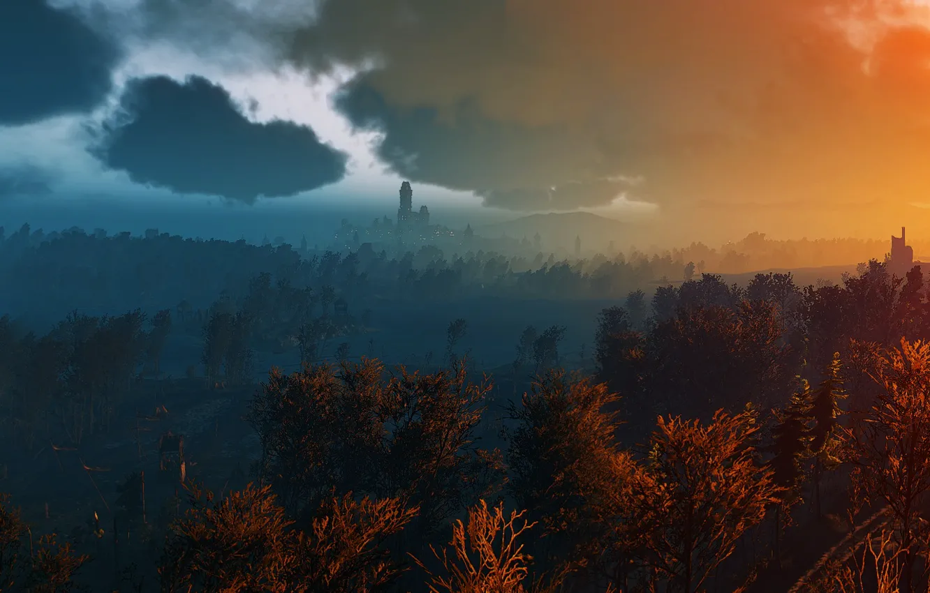 Фото обои лес, солнце, деревья, закат, Панорама