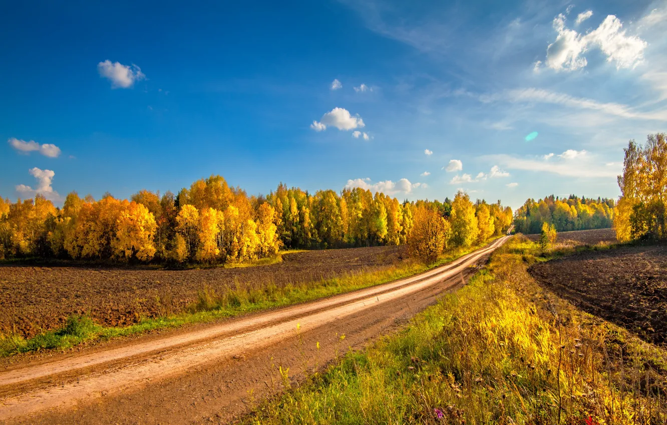 Фото обои дорога, поле, осень, пейзаж, природа