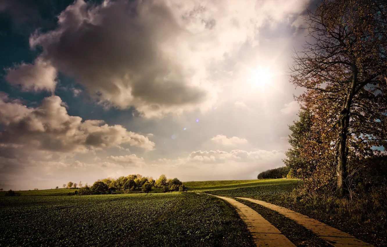 Фото обои дорога, зелень, небо, солнце, облака, деревья, природа