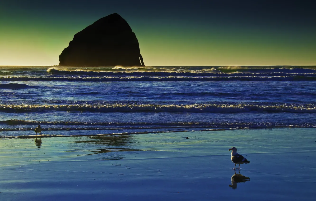 Фото обои море, пляж, скала, берег, чайки