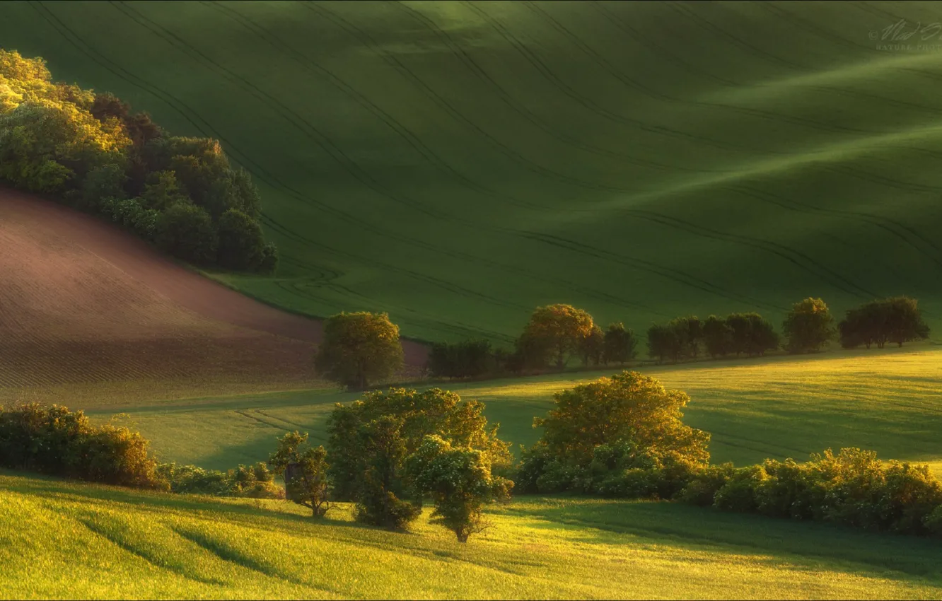 Фото обои лето, деревья, поля, долина, Чехия, Влад Соколовский