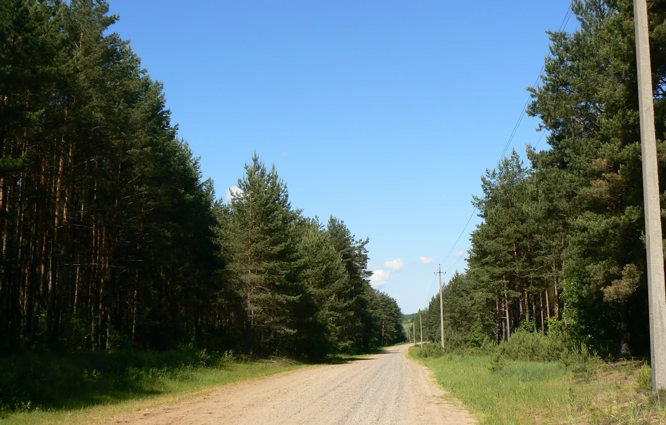 Фото обои дорога, лес, Природа, родина, Беларусь, моё фото