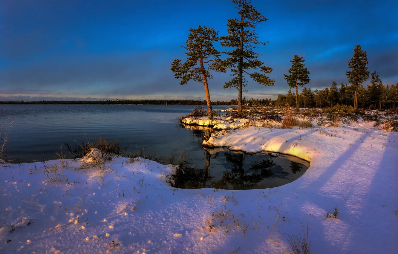 Фото обои зима, лес, снег, деревья, пейзаж, закат, природа, река