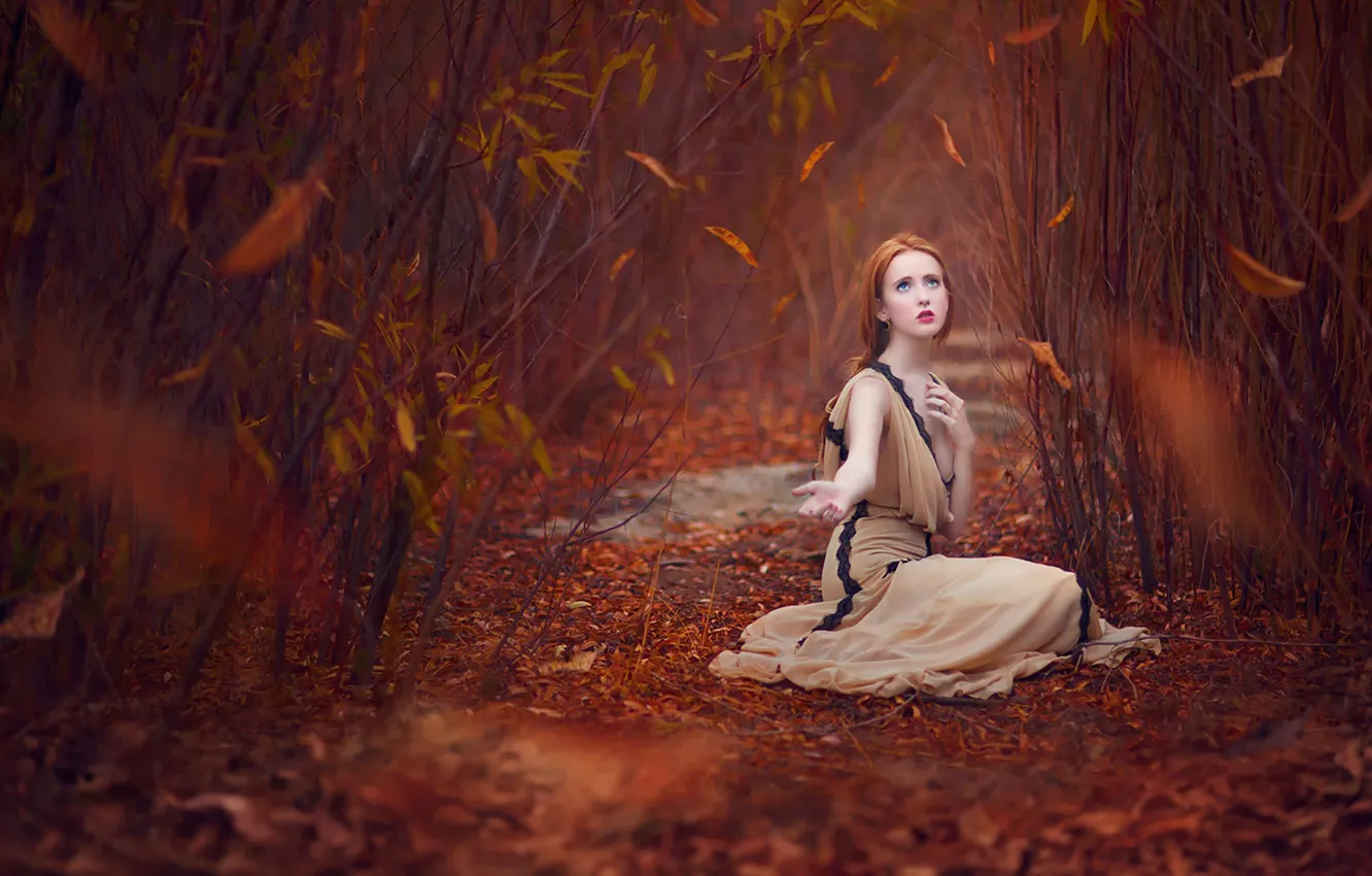 Фото обои осень, листья, рыжеволосая девушка