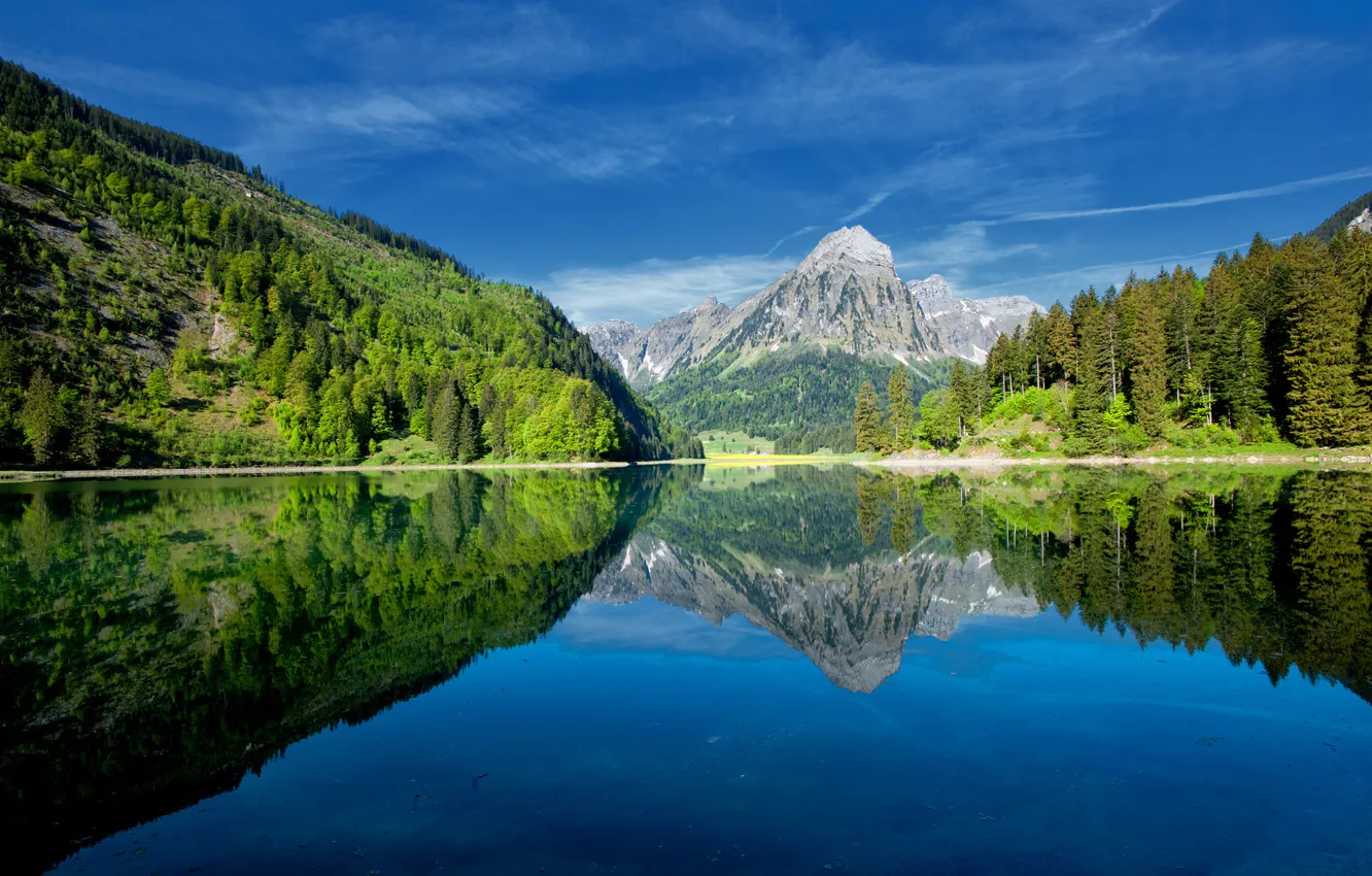 Фото обои лес, небо, деревья, горы, озеро, отражение, склон