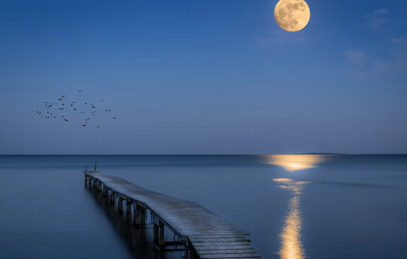 Фото обои море, ночь, мост, луна
