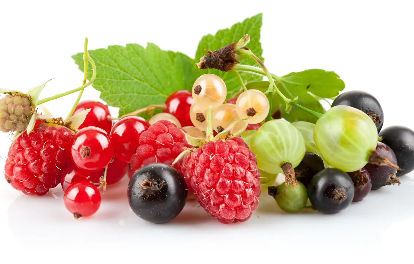 Фото обои ягоды, малина, крыжовник, красная смородина, чёрная смородина, белая смородина