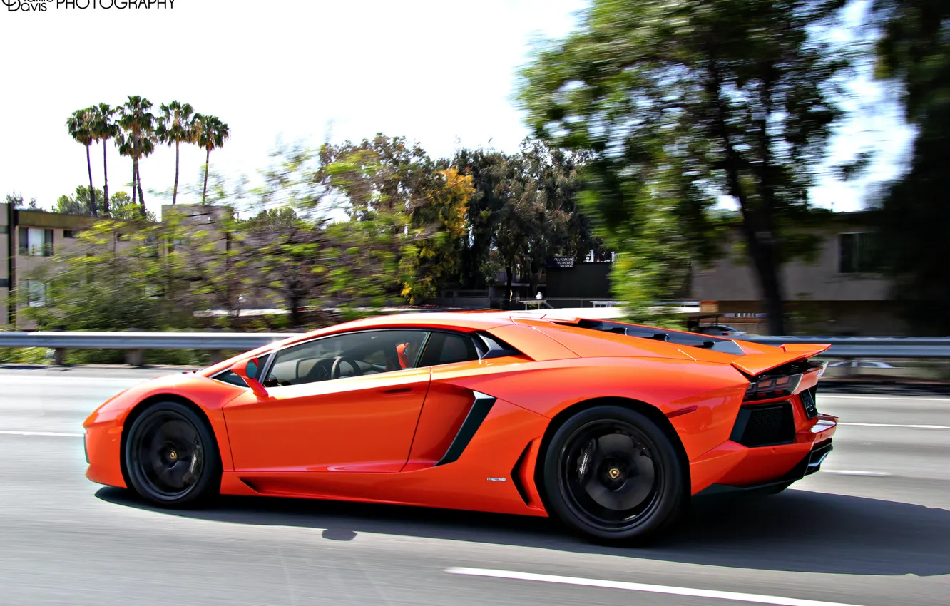 Фото обои Lamborghini, Orange, Aventador, sport car