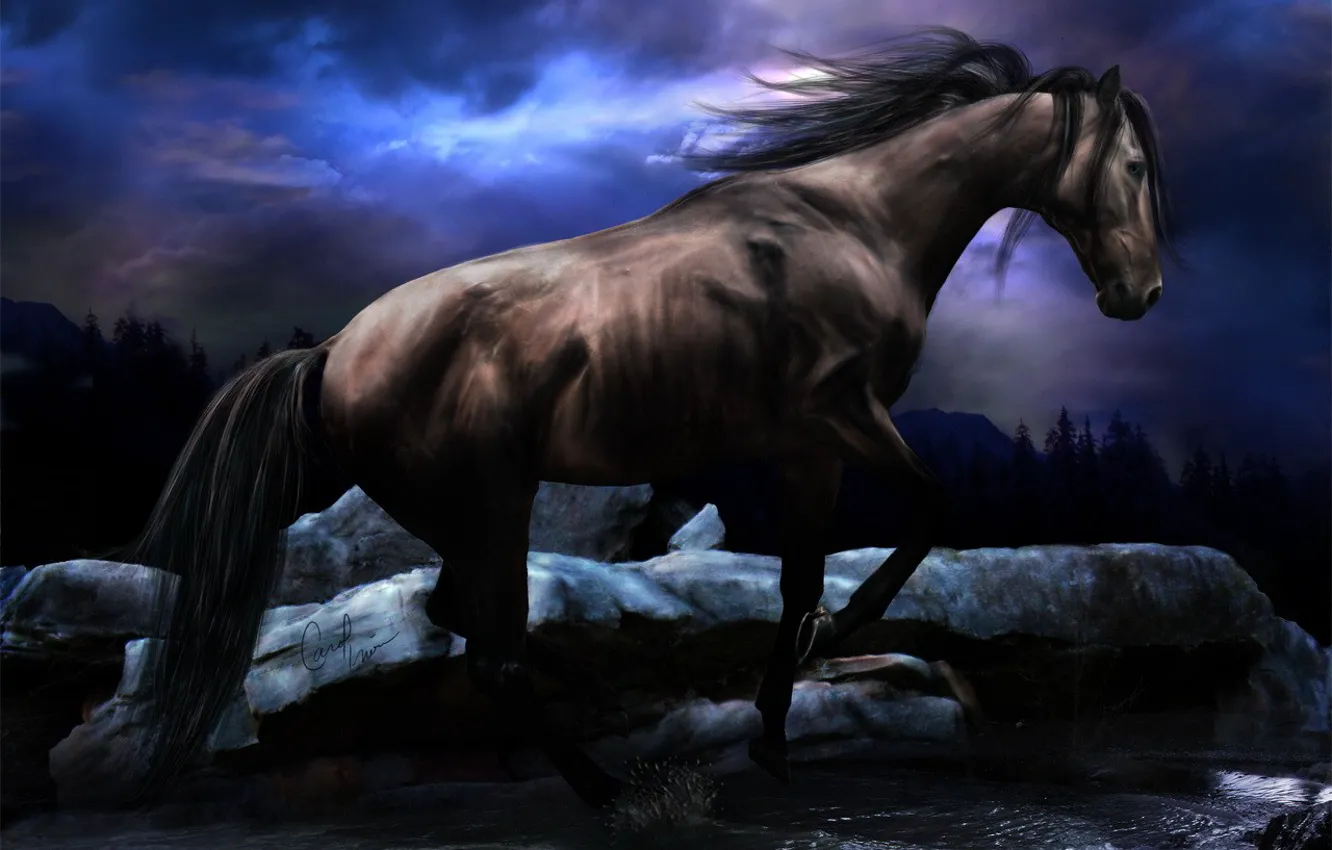 Фото обои ручей, лошадь, цвет