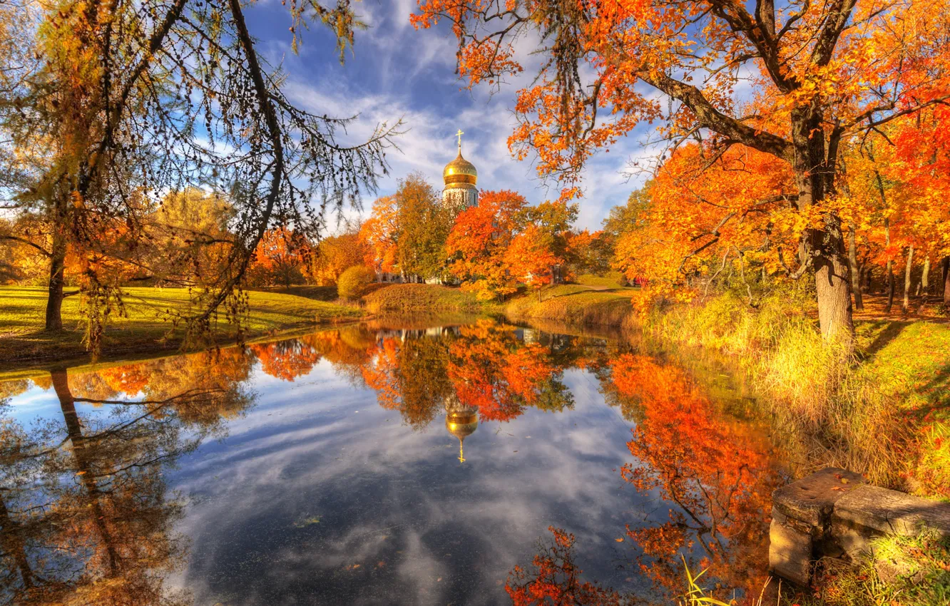 Фото обои осень, пейзаж, ветки, природа, город, пруд, парк, отражение