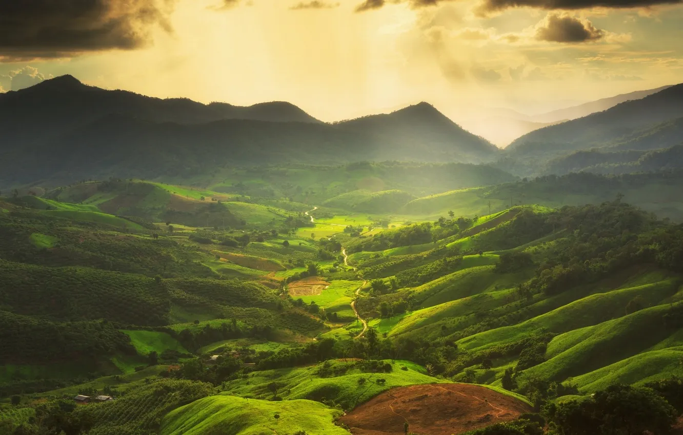 Фото обои green, trees, field, landscape, nature, mountains, clouds, hills