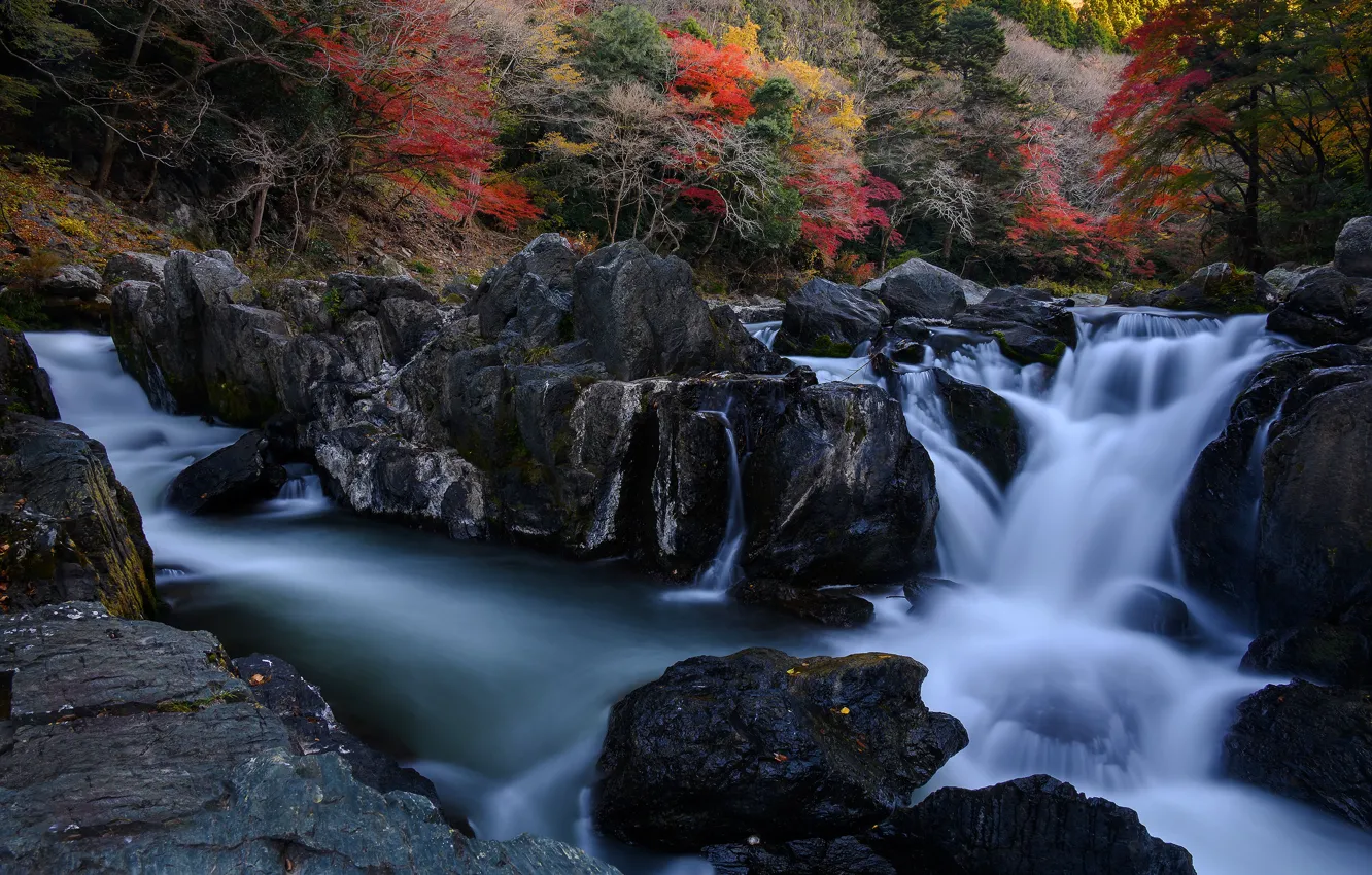 Фото обои осень, лес, деревья, камни, скалы, водопад, поток, глыбы
