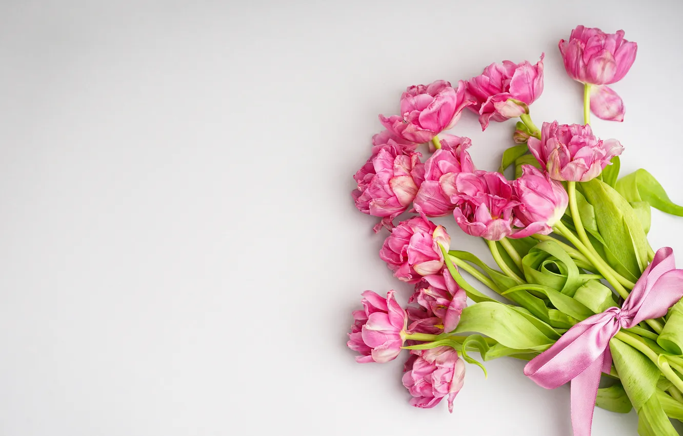 Фото обои цветы, букет, тюльпаны, розовые, pink, flowers, beautiful, tulips