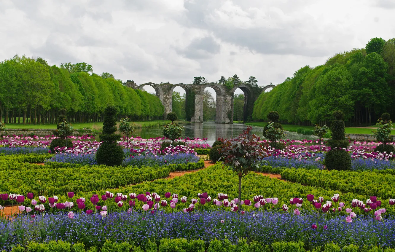Фото обои цветы, парк, Франция, тюльпаны, акведук Ментенон