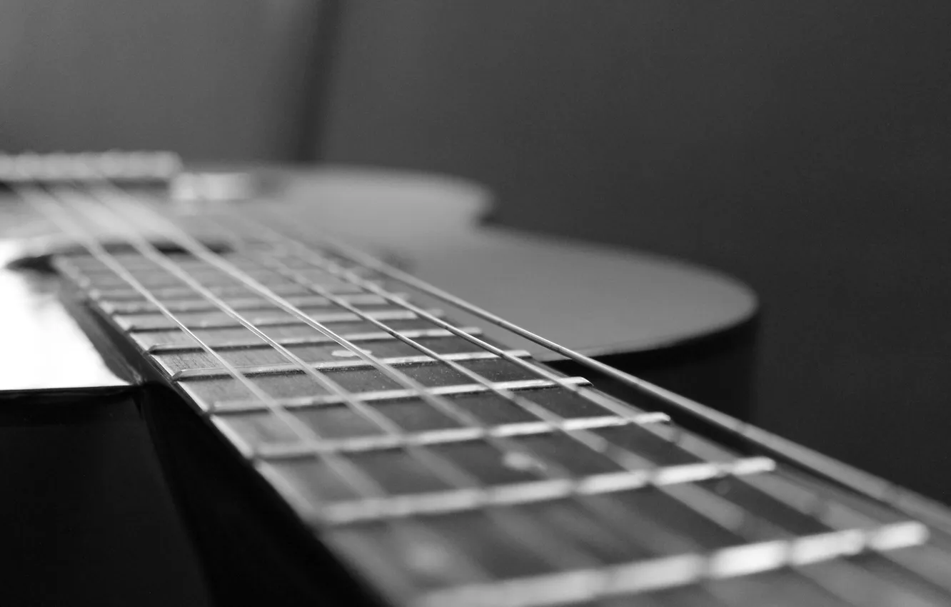 Фото обои макро, гитара, черно-белое, шестиструнная