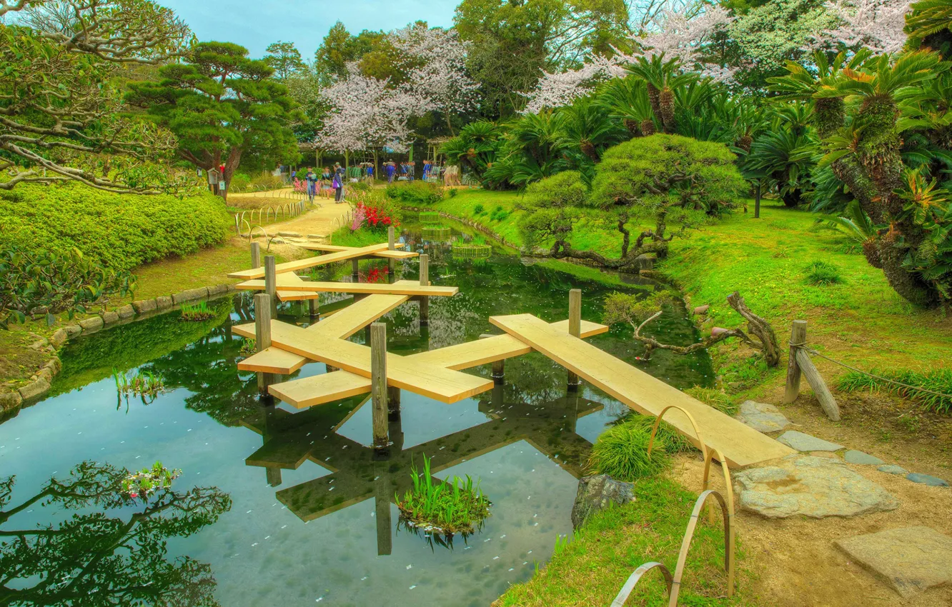Фото обои деревья, пруд, HDR, Япония, сад, Okayama Korakuen Garden