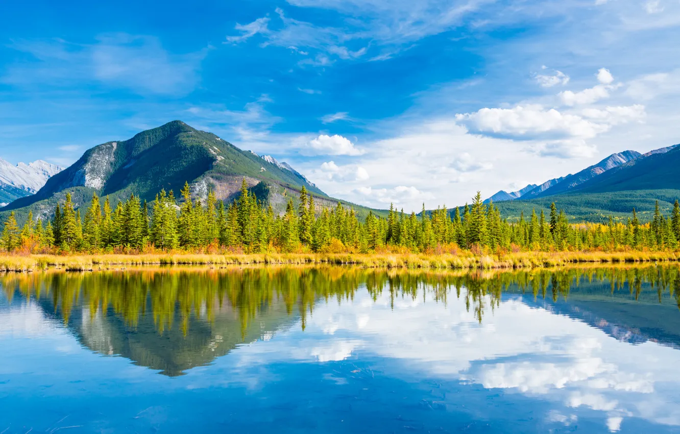 Фото обои осень, небо, деревья, горы, озеро, Канада, Альберта, Banff National Park