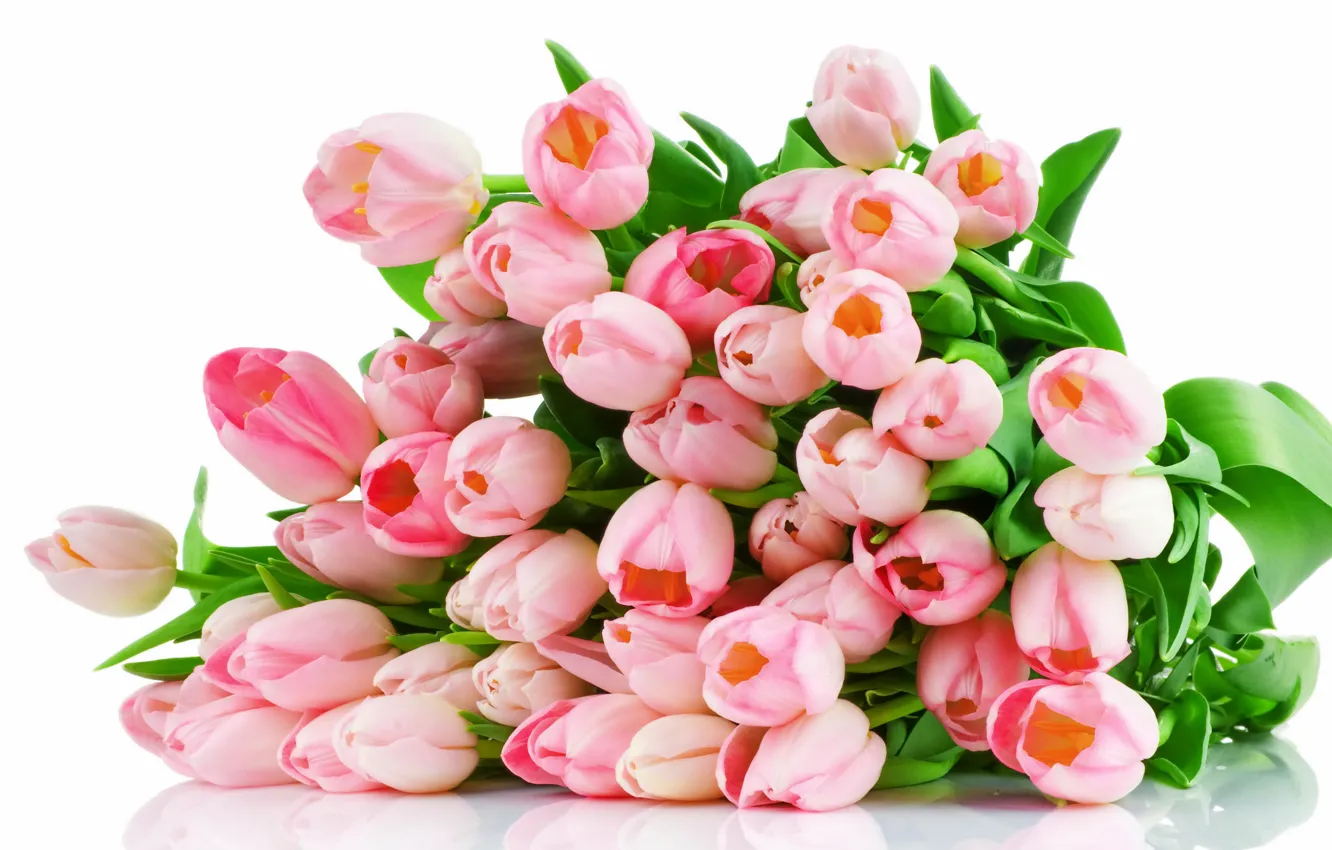 Фото обои цветы, букет, тюльпаны, розовые, pink, tulips