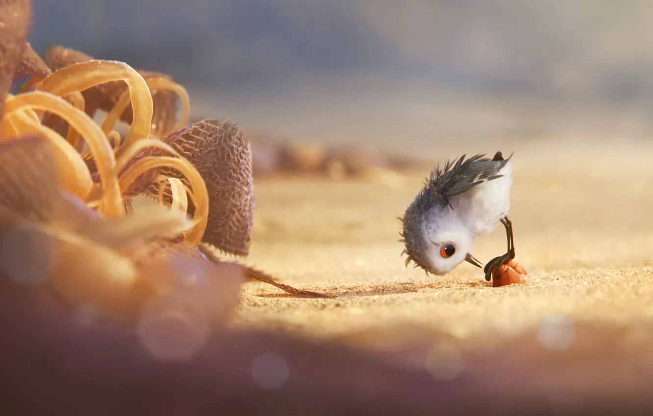 Фото обои kawaii, cinema, animation, Disney, Pixar, beach, sea, bird