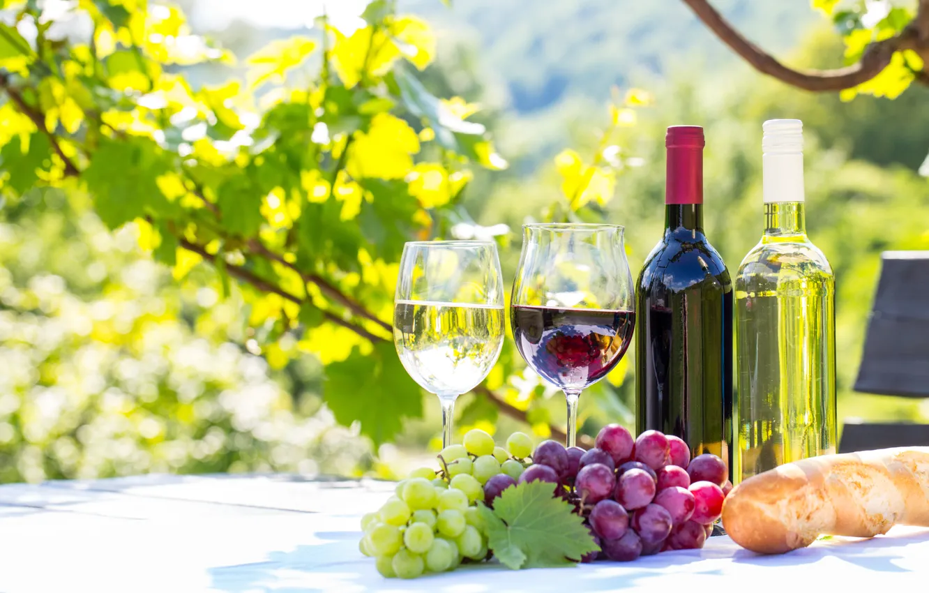 Фото обои листья, вино, красное, белое, бокалы, хлеб, виноград, багет