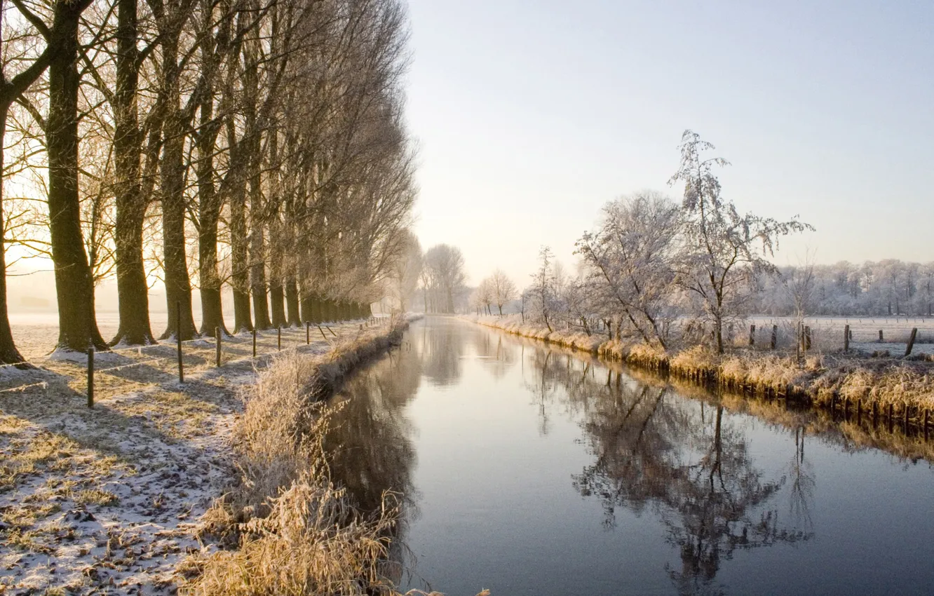 Фото обои зима, деревья, природа, речка, аллея