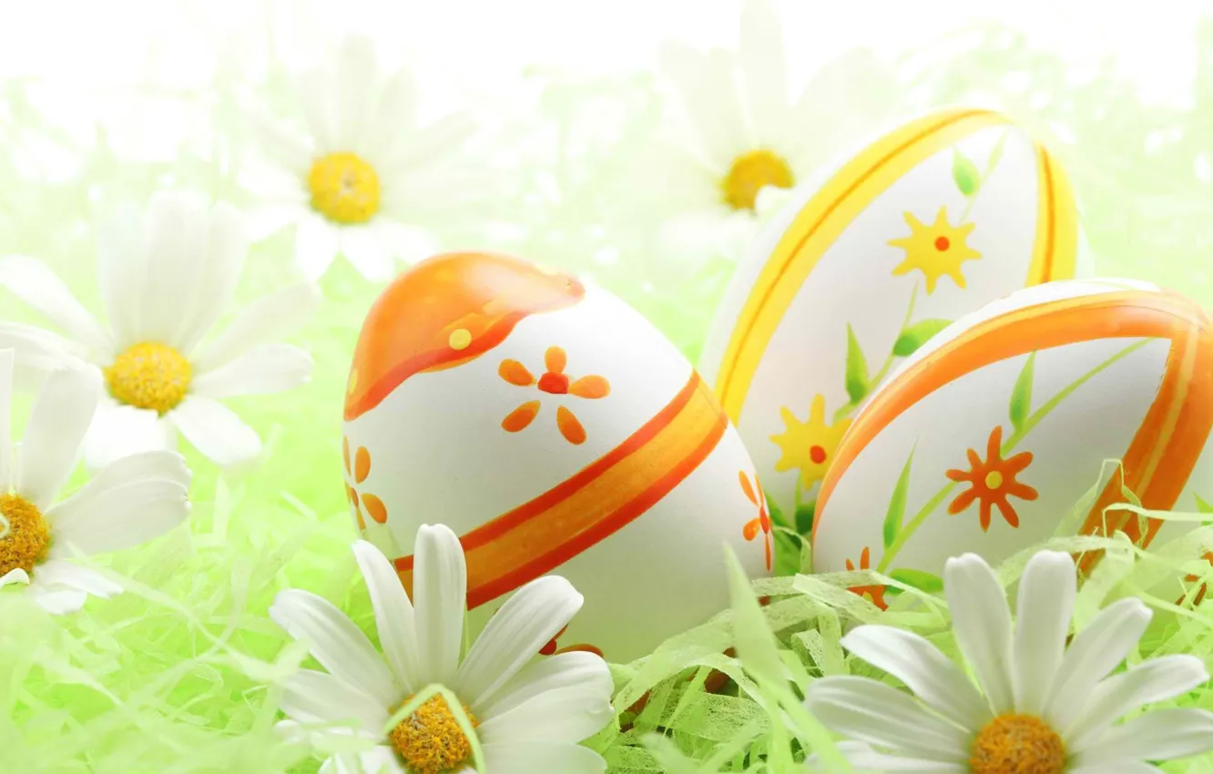 Фото обои краски, яйца, пасха, религия, цветки