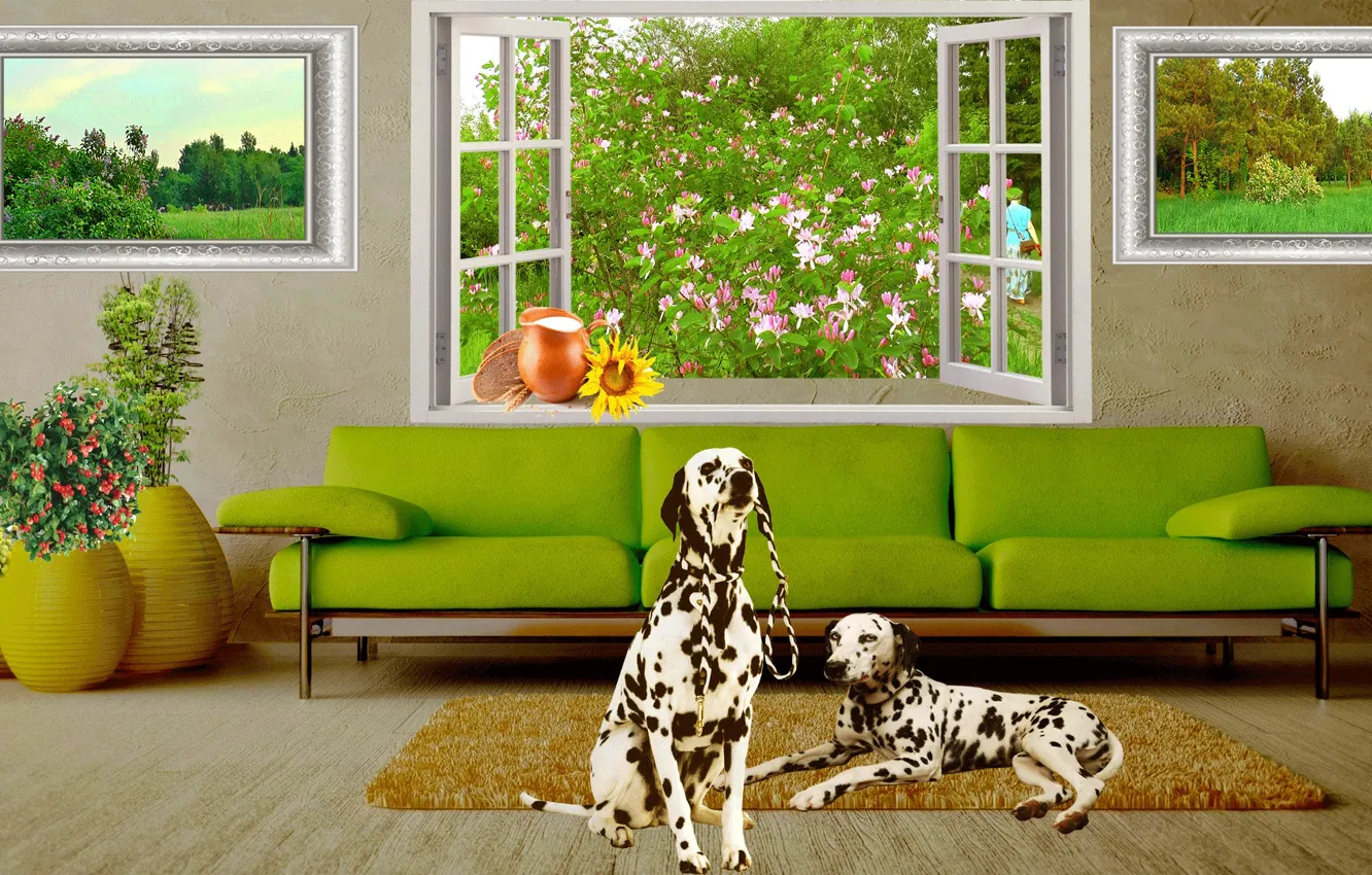 Фото обои цветы, природа, комната, интерьер, окно, Собаки