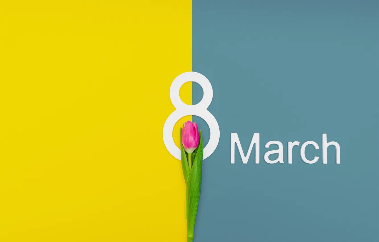 Фото обои цветы, цифра, тюльпаны, happy, 8 марта, flowers, tulips, spring