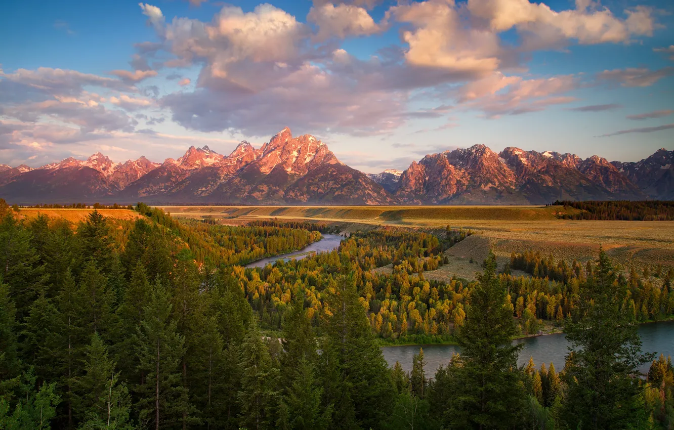 Фото обои лес, облака, горы, вид, ели
