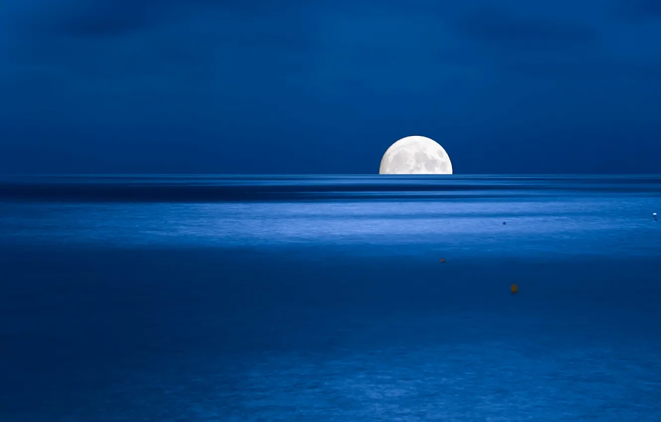 Фото обои море, ночь, луна