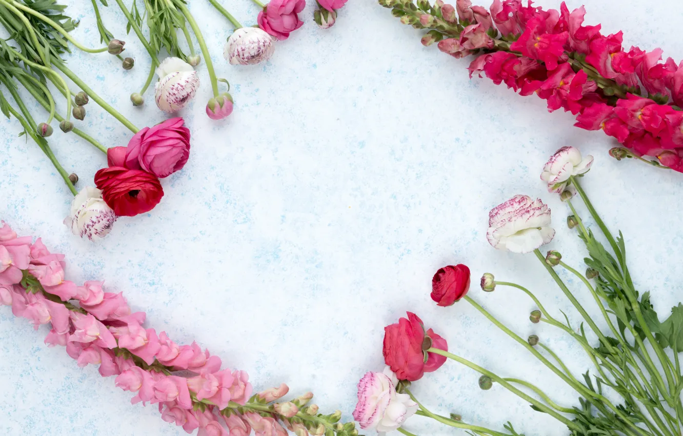 Фото обои цветы, гладиолус, декор, рананкулюс