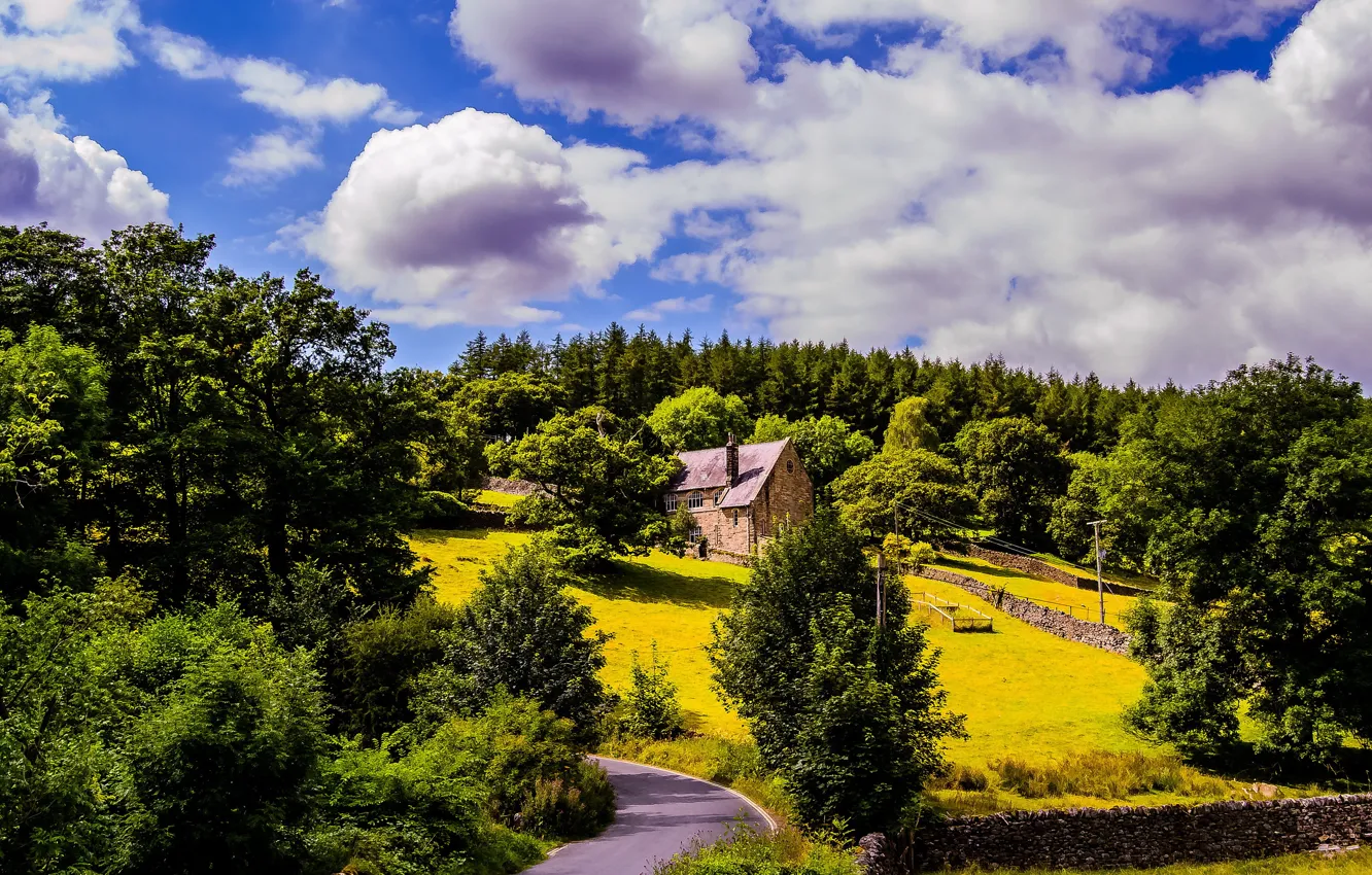 Фото обои дорога, зелень, облака, деревья, дом, лужайка