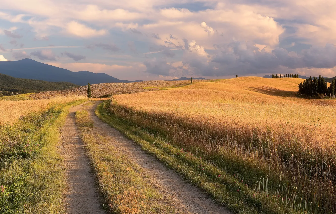 Фото обои дорога, поле, лето, трава, облака, деревья, горы, путь