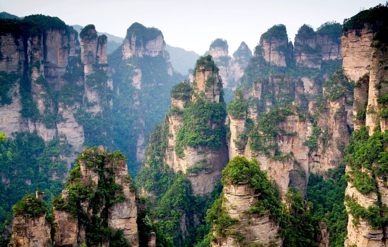 Фото обои лес, деревья, горы, скалы, китай, вершины
