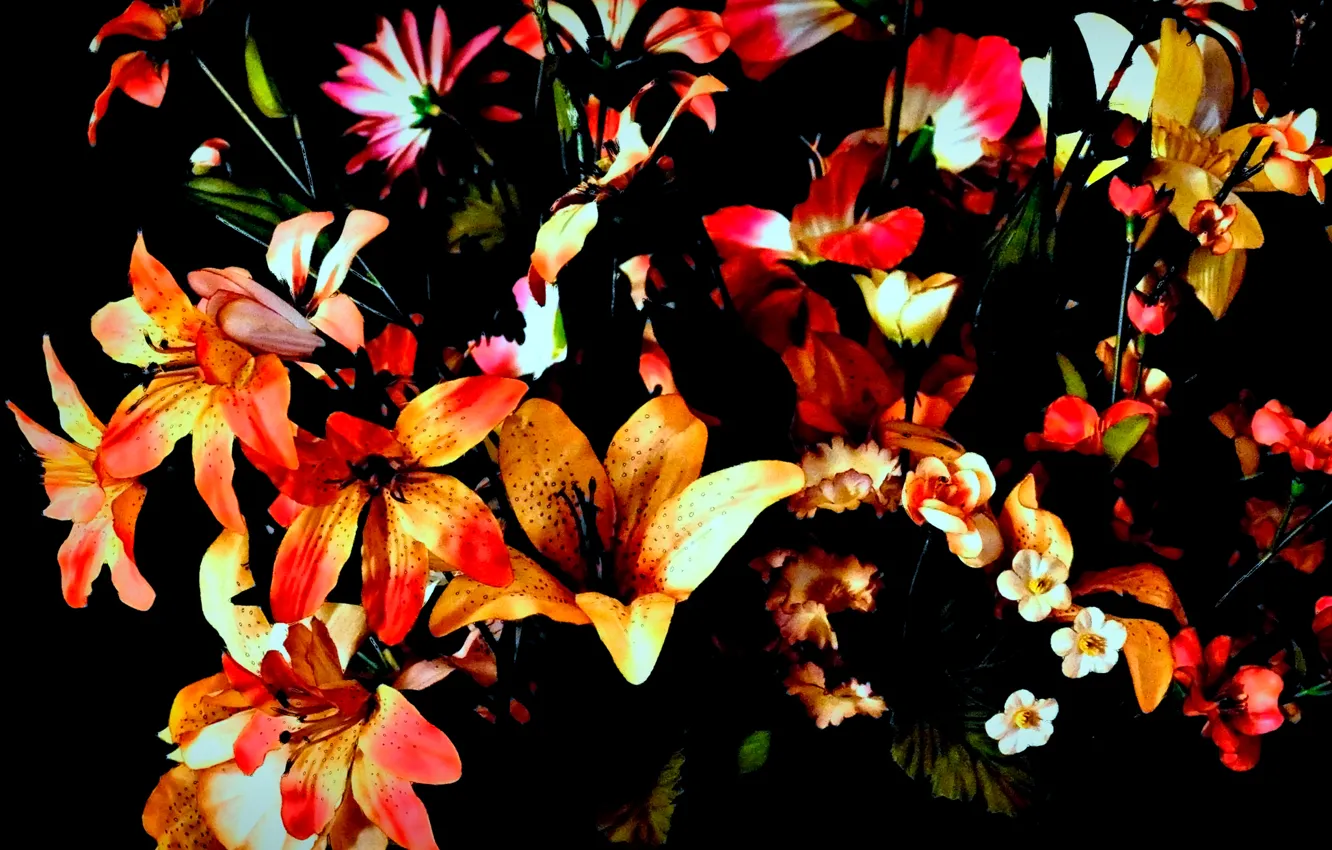 Фото обои природа, фон, лилии, лепестки